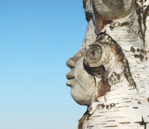 Public Artwork - Everyday Pilgrim - Close-up side profile of a carved human face emerging from the top of a standing birch tree trunk against a clear blue sky. - Kaivopuisto, Helsinki 2004.