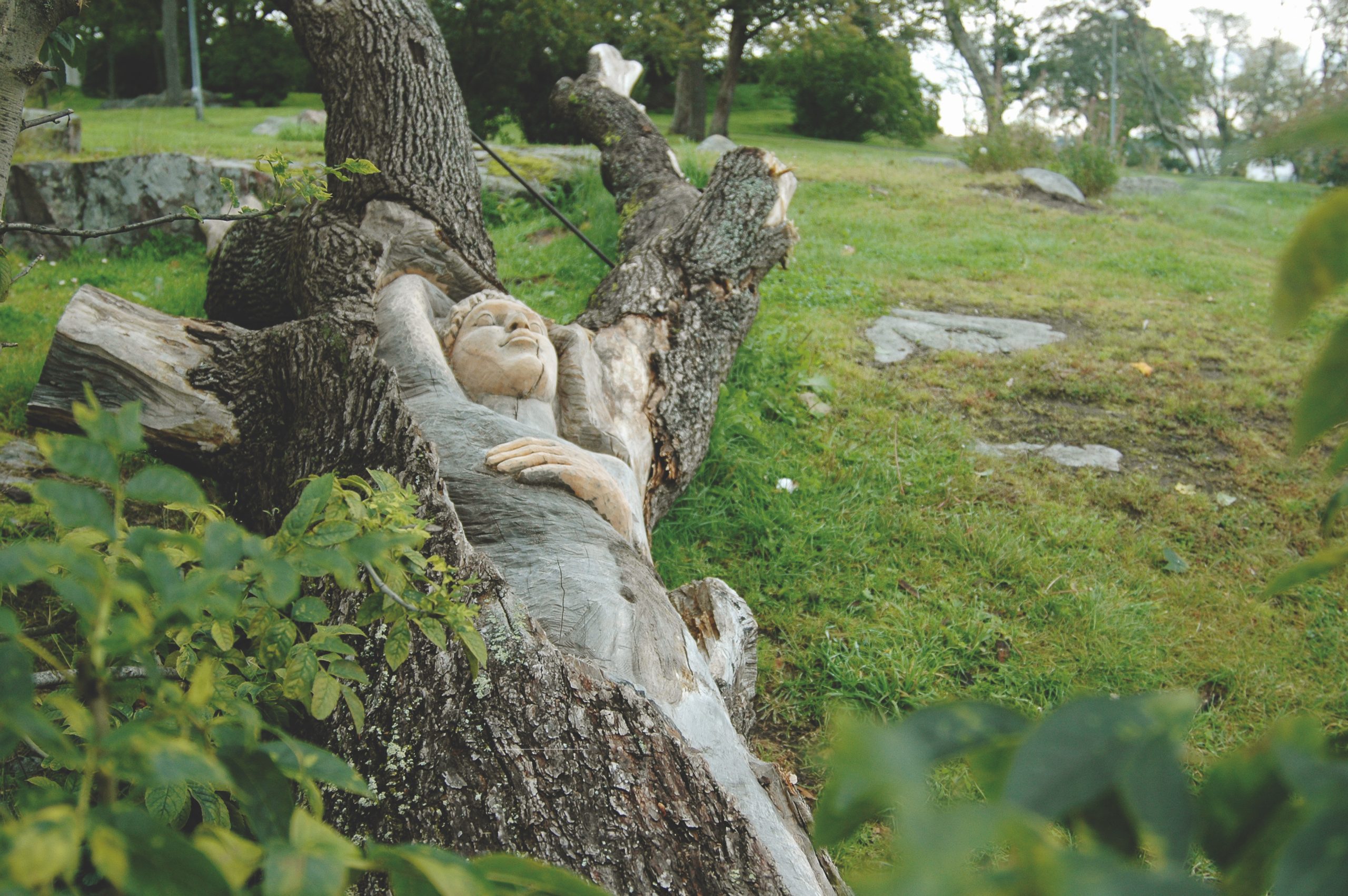 Public Artwork - A Lifeline to Paradise - A carved reclining human figure emerging from a fallen tree trunk, viewed from the side in a grassy park. - Kaivopuisto, Helsinki 2004.
