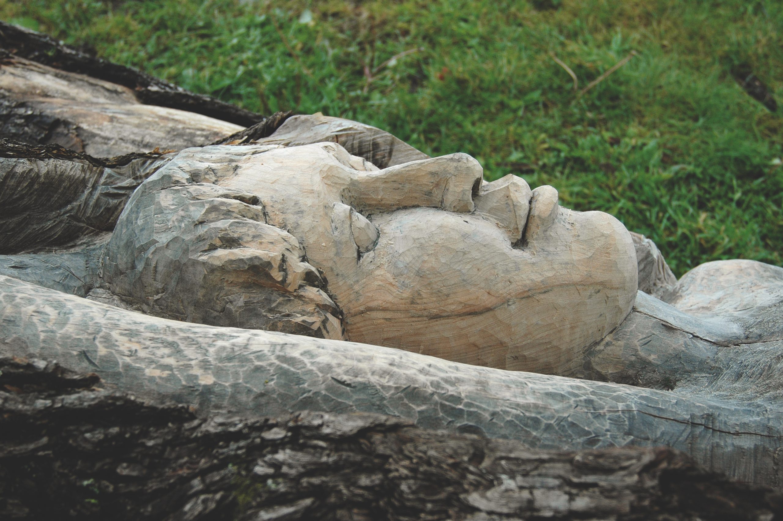 Public Artwork - A Lifeline to Paradise - Close-up of a carved reclining human figure emerging from a fallen tree trunk in a park. - Kaivopuisto, Helsinki 2004.