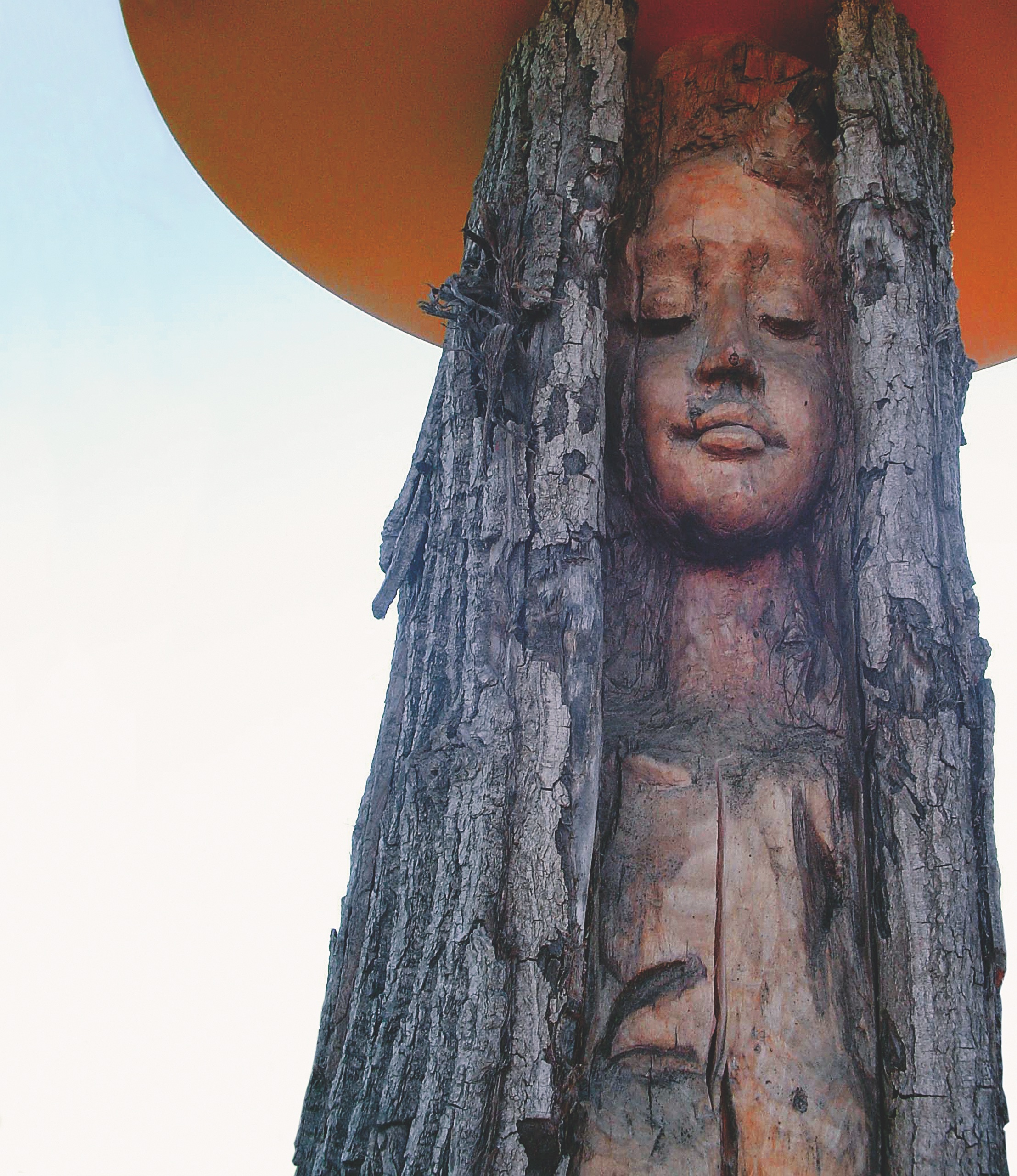 Public Artwork - Flower of Life - Close-up of a carved human face emerging from a weathered tree trunk beneath a circular metal canopy. - Art park, Pikku-Huopalahti, Helsinki, 2005.