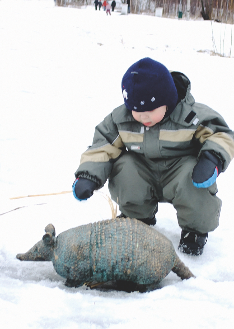 Public Artwork - Flower of Life - A child in winter clothing looking at a bronze armadillo sculpture in a snowy park. - Art park, Pikku-Huopalahti, Helsinki, 2005.