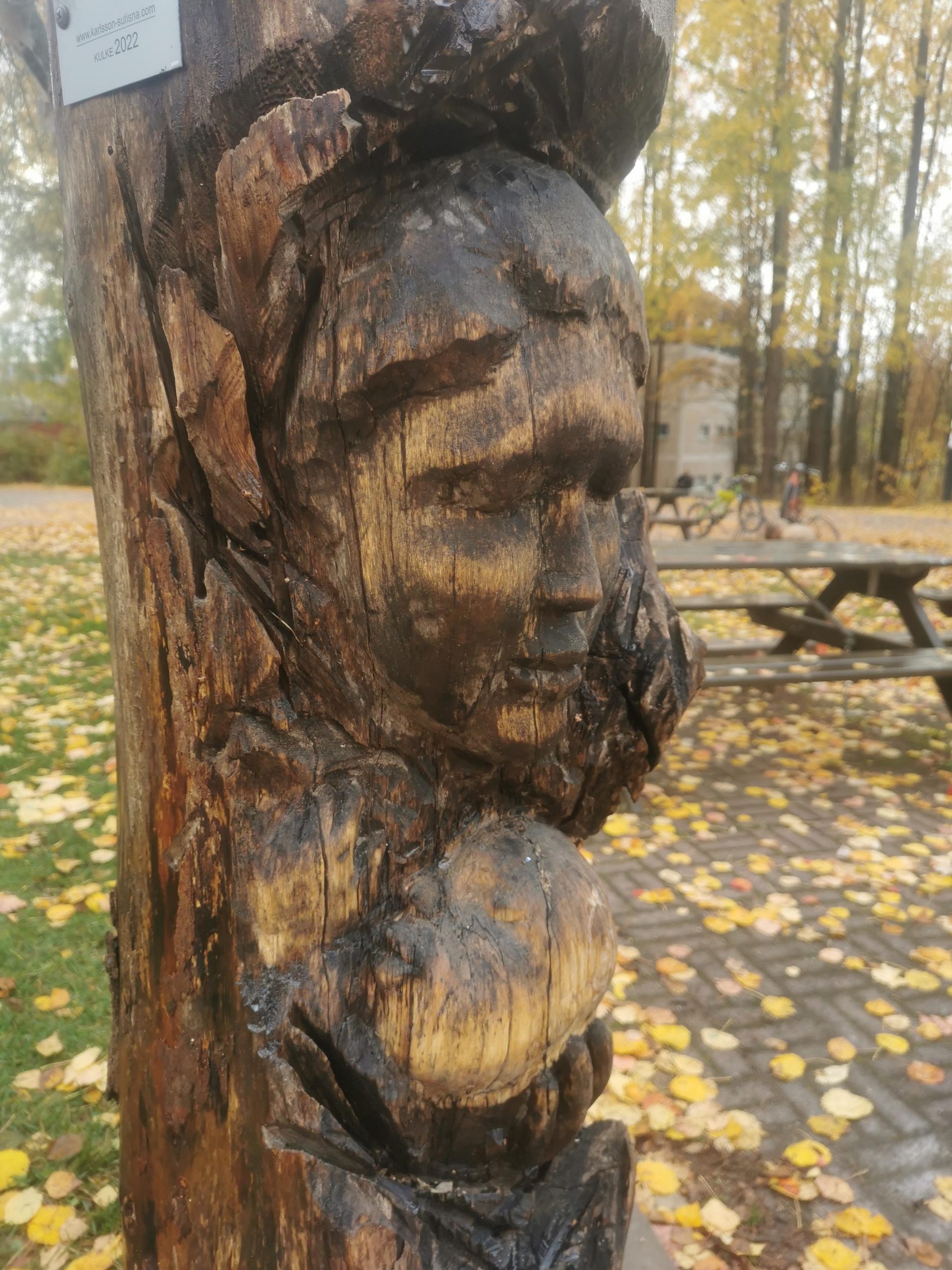 Public Artwork - A Maid and Child - Piikapuisto, Helsinki 2022. A carved wooden sculpture integrated into a tree trunk in an autumn park.