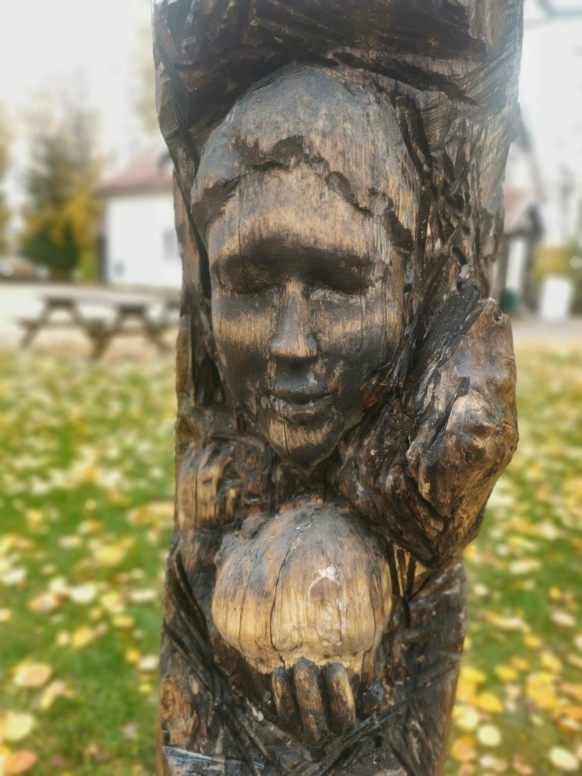 Public Artwork - A Maid and Child - Piikapuisto, Helsinki 2022. A carved wooden sculpture of a young girl with closed eyes holding an apple, carved into a tree trunk in an autumn park.