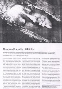 Magazine article featuring Sanna Karlsson-Sutisna's environmental artwork Piilotettu esiäiti (2002), published as part of an exhibition review.