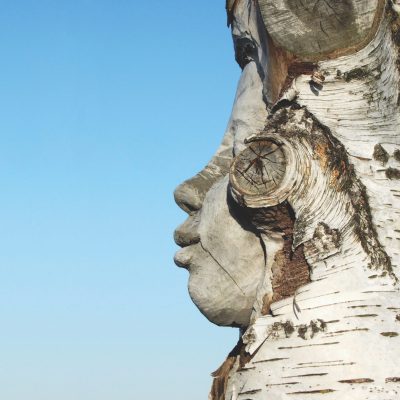 Public Artwork - Everyday Pilgrim - Close-up side profile of a carved human face emerging from the top of a standing birch tree trunk against a clear blue sky. - Kaivopuisto, Helsinki 2004.